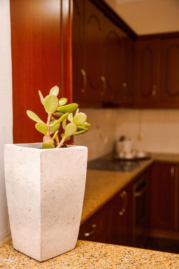 Oasis Zante Apartment Εξωτερικό φωτογραφία